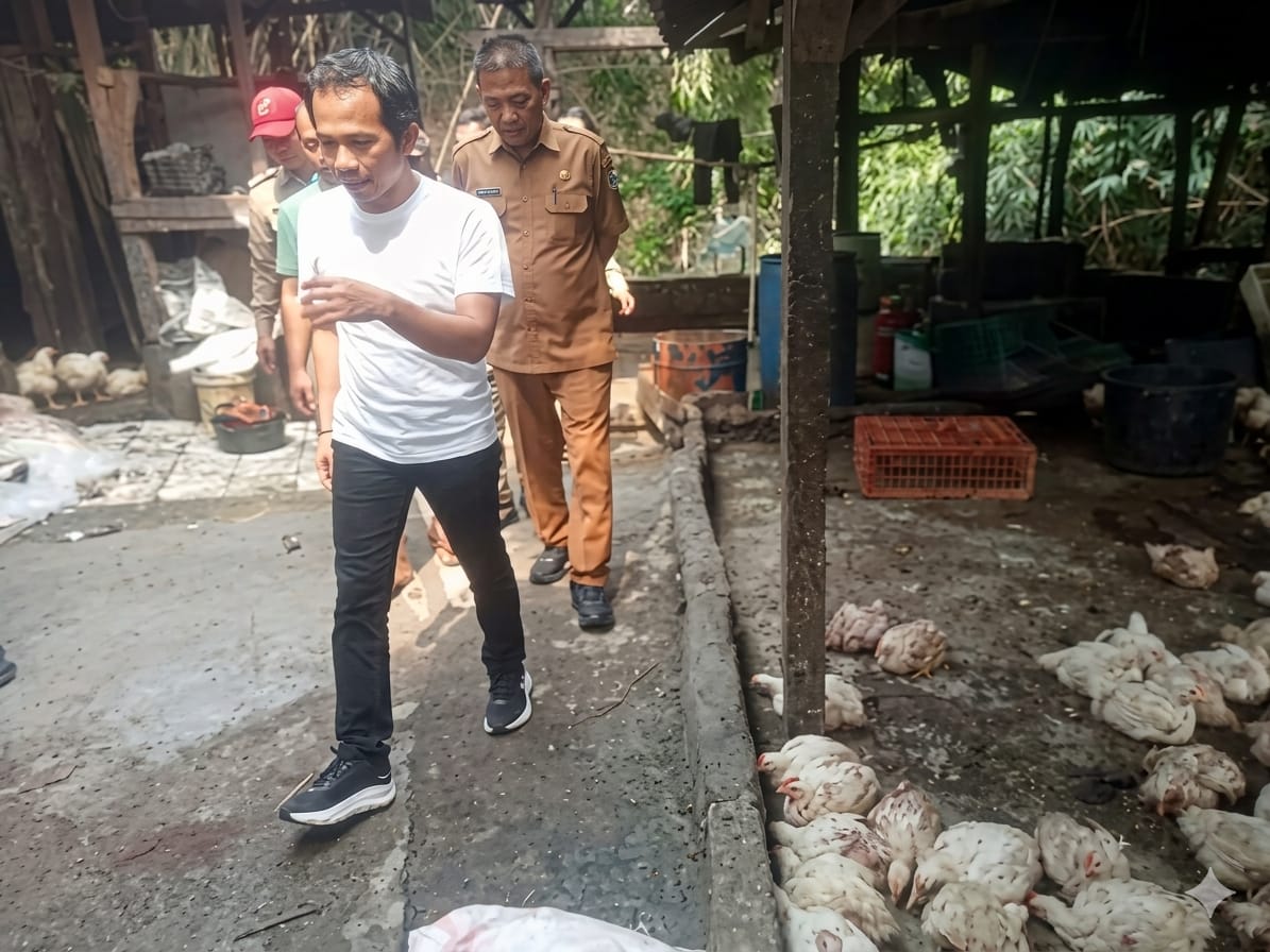 Tak Berizin IPAL, Om Zein Tutup Sementara Tempat Pemotongan Ayam di Simpang Purwakarta
